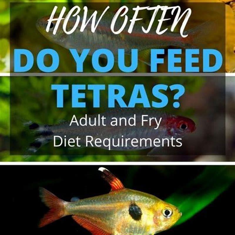 What do you feed little fish?