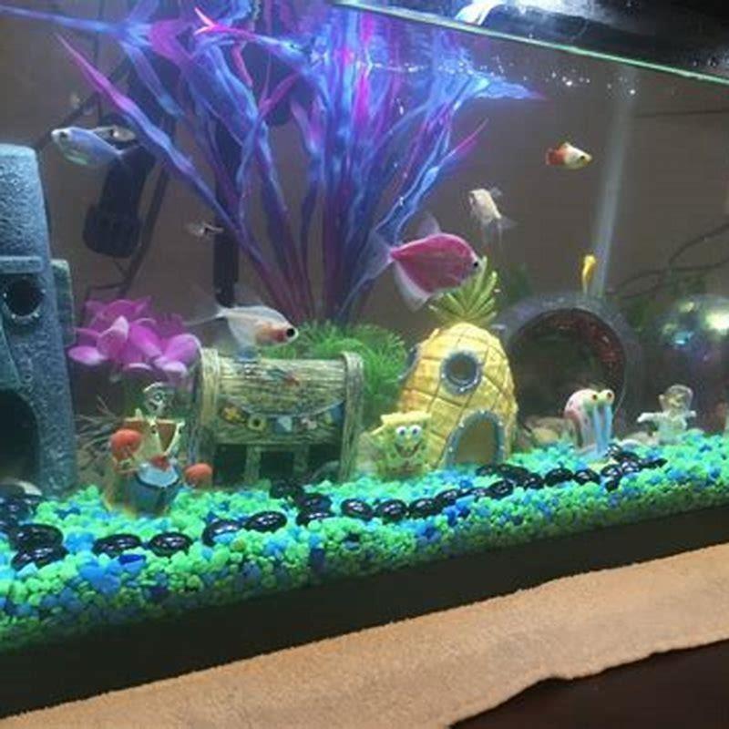 What fish can I put with my tetras? - DIY Seattle