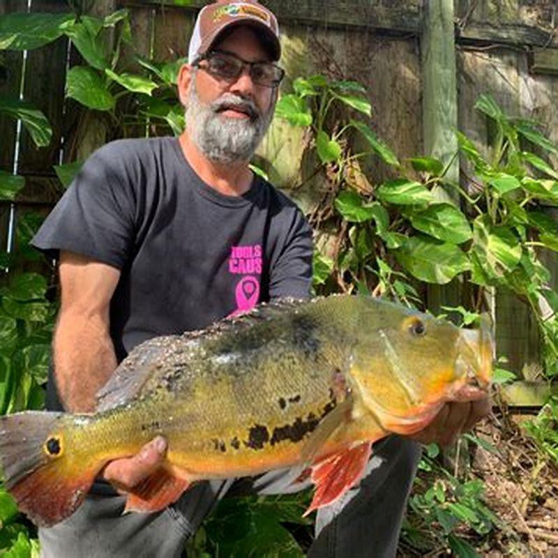 What fish do peacock bass eat?