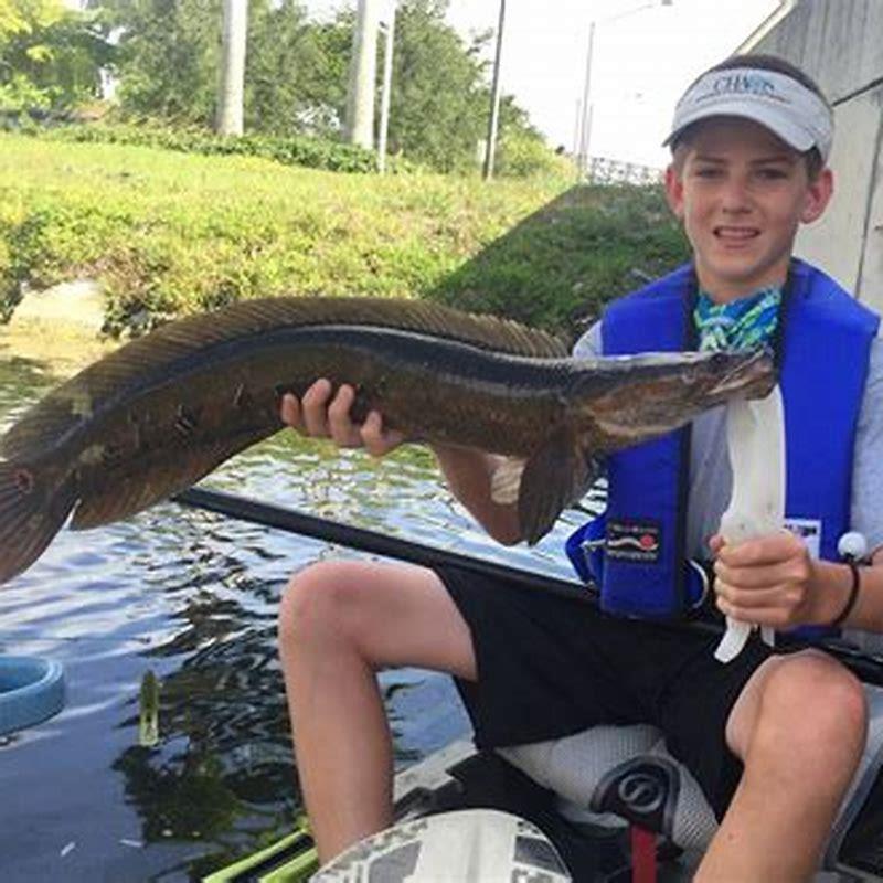 What is the problem with snakehead fish?