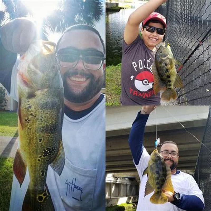 What kind of water do peacock bass live in?