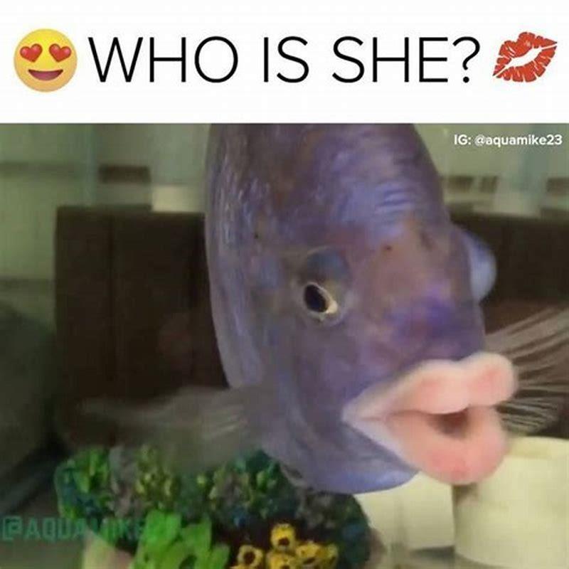 How old is The Rainbow Fish?
