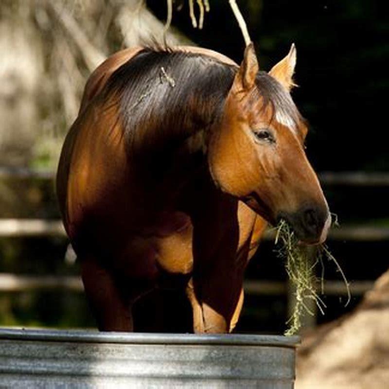 How do you transition a horse from stall to pasture?
