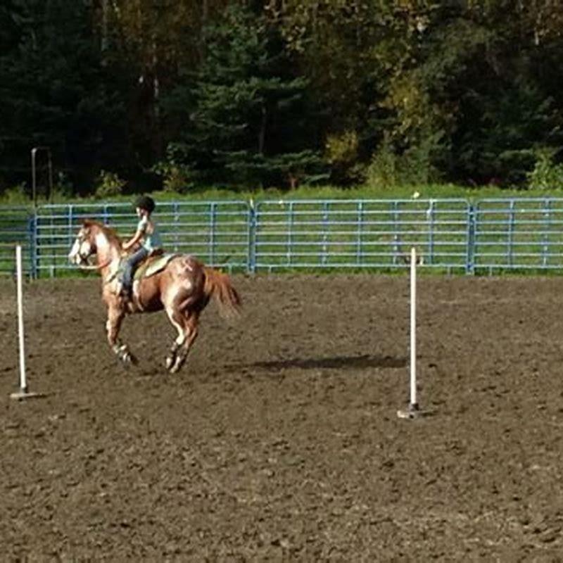 What is the best horse for pole bending? - DIY Seattle