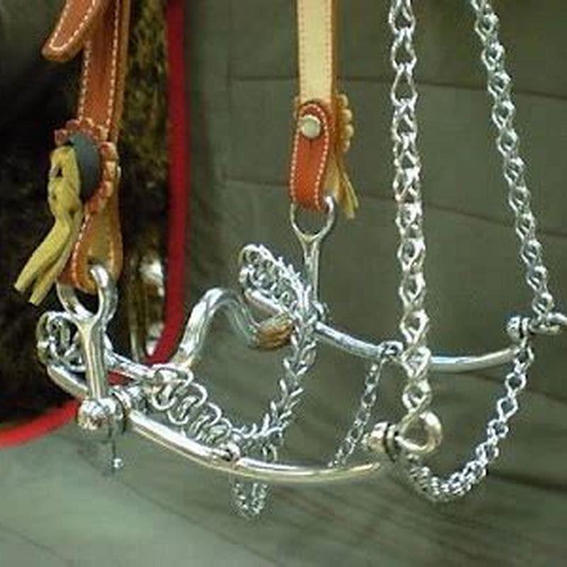 What is the harshest bit for a horse?