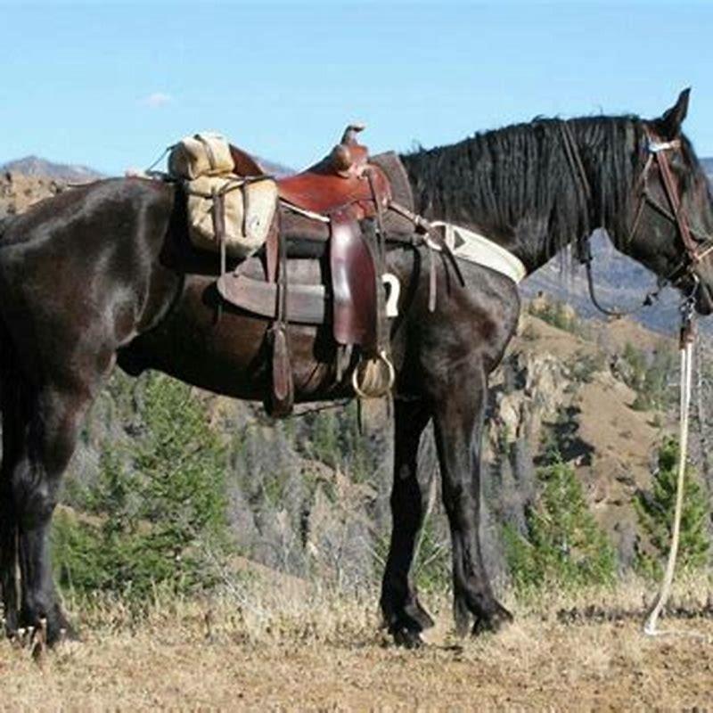 Are draft horses slower?