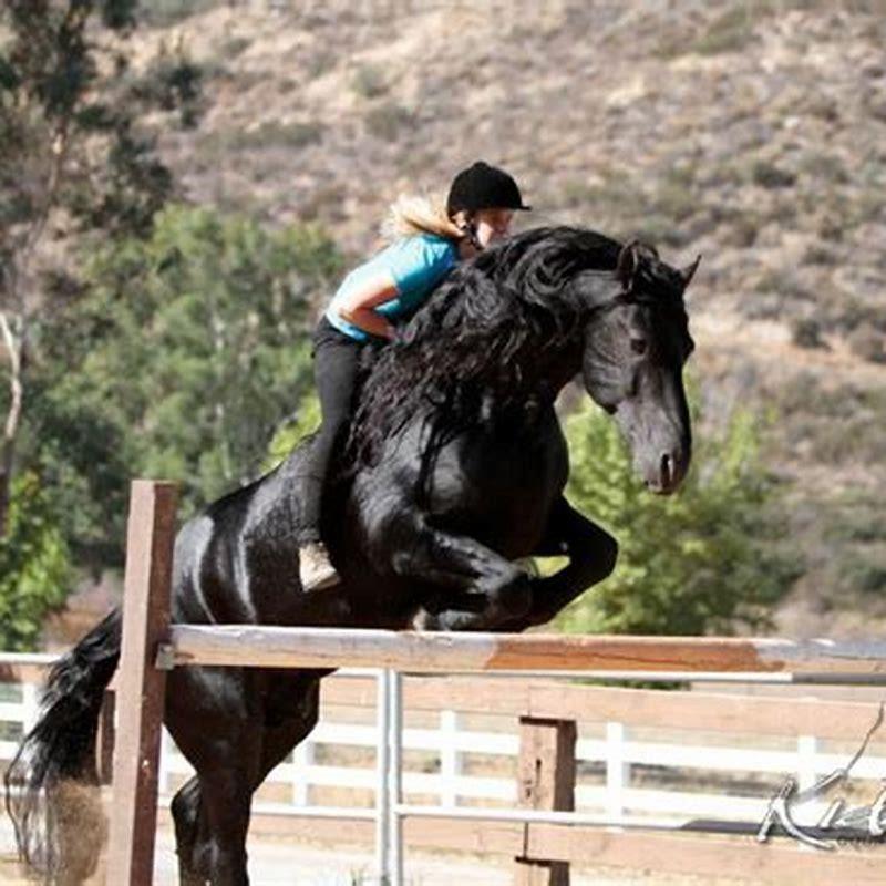 Are Friesians good for jumping?