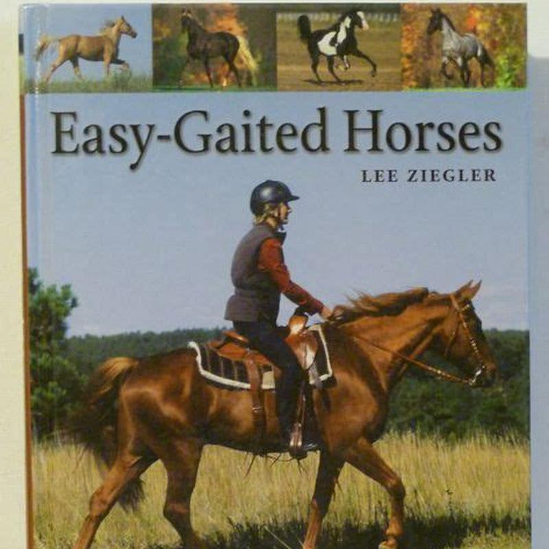 Are gaited horses hard to ride?