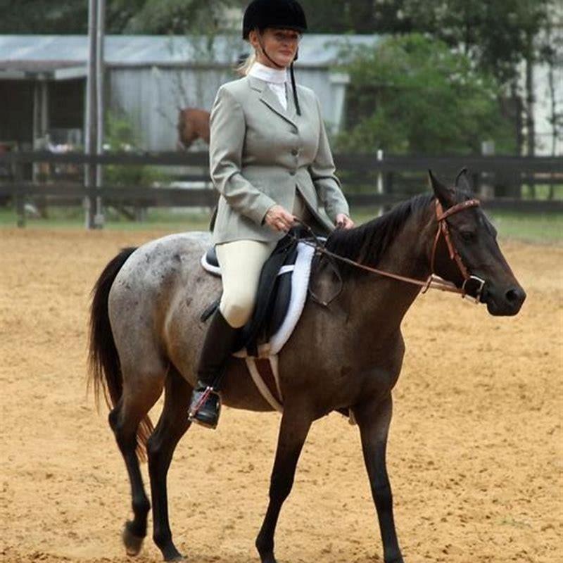Are Galiceno horses gaited?
