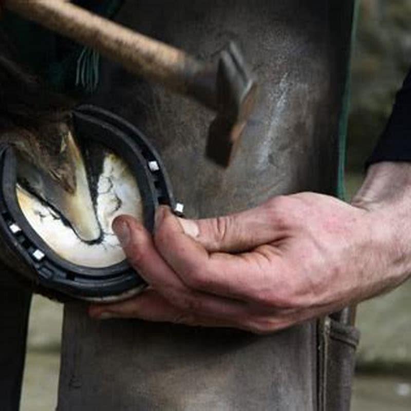 Are horse shoes good for horses?