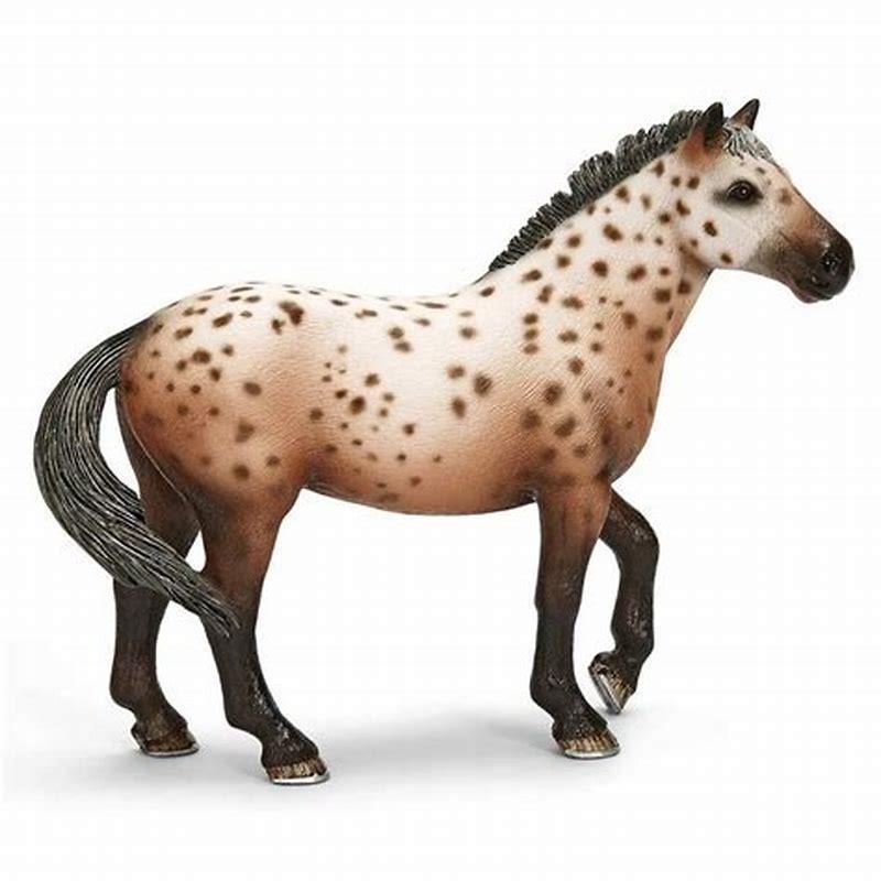 Are Knabstrupper horses fast?