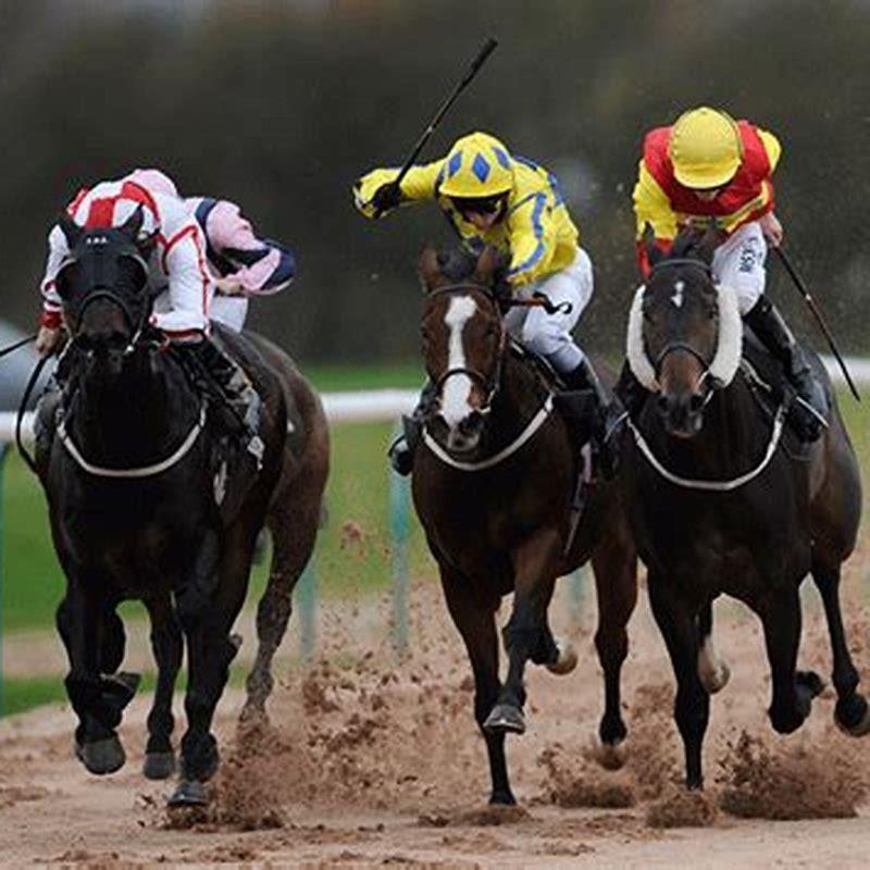 Are racetracks profitable?