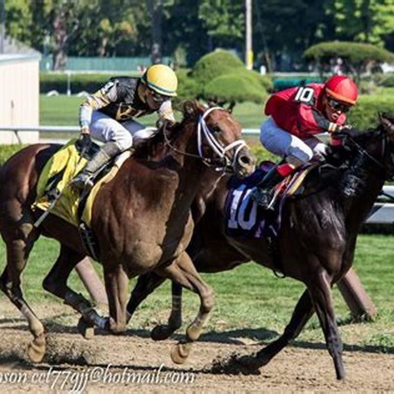 are-the-horses-running-at-saratoga-today-diy-seattle