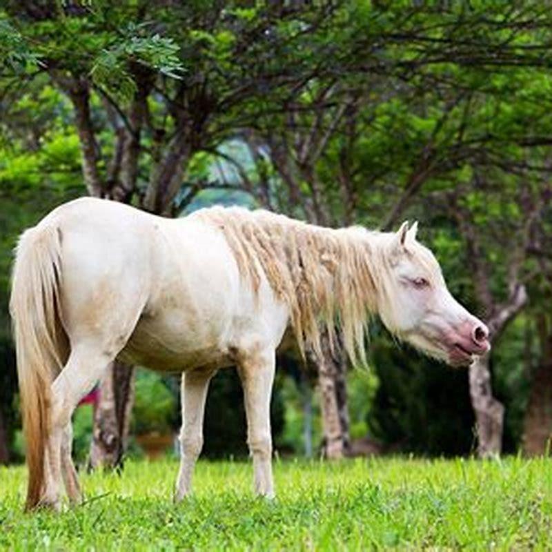 Are there horses in Russia?