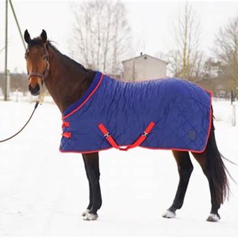 At what temperature do horses need blankets? DIY Seattle