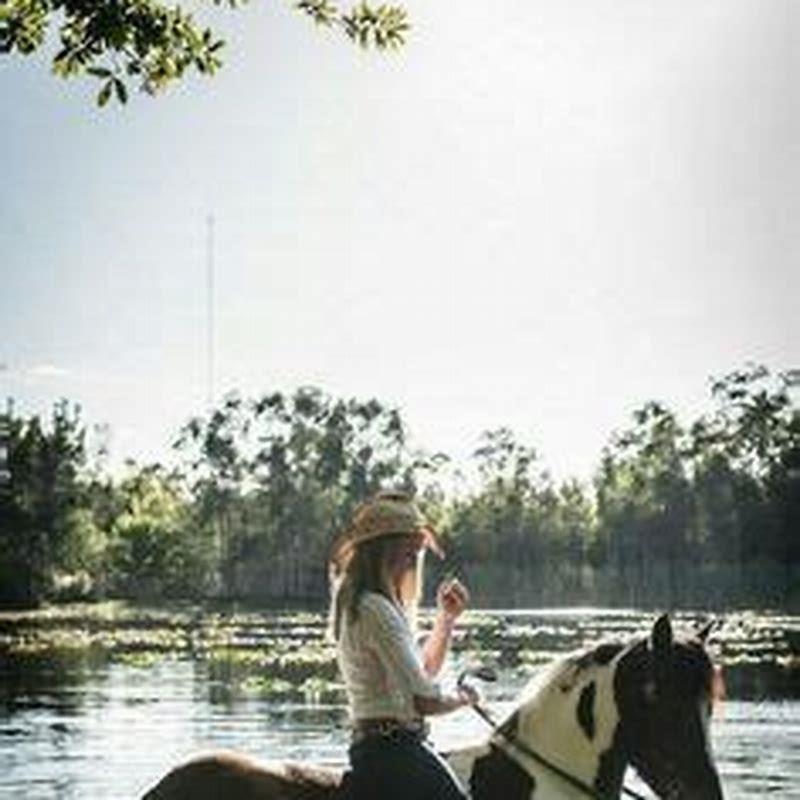 Can a horse impregnate a cow?