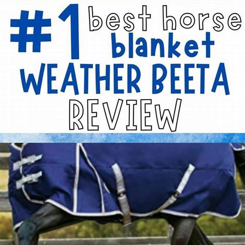 Can I dry my horse blanket in the dryer?