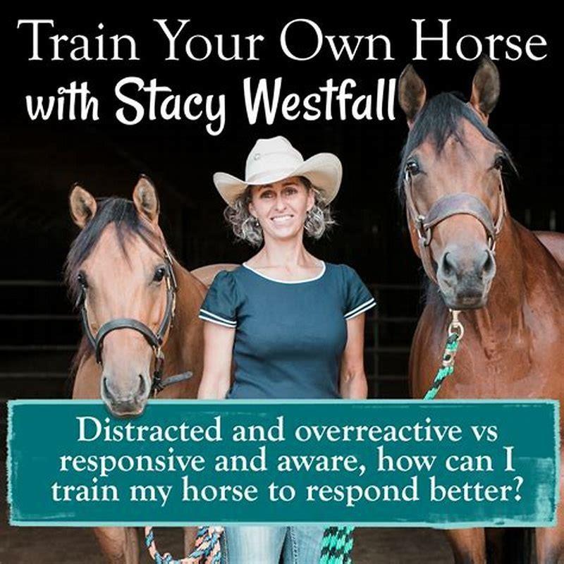 Can I train my own horse?