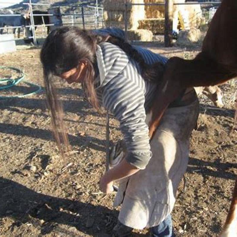 Can I trim my own horses feet?