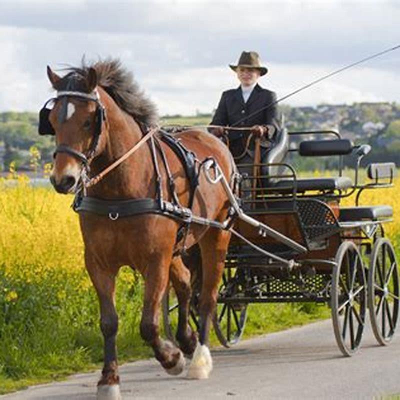 Can you make a horse cart?