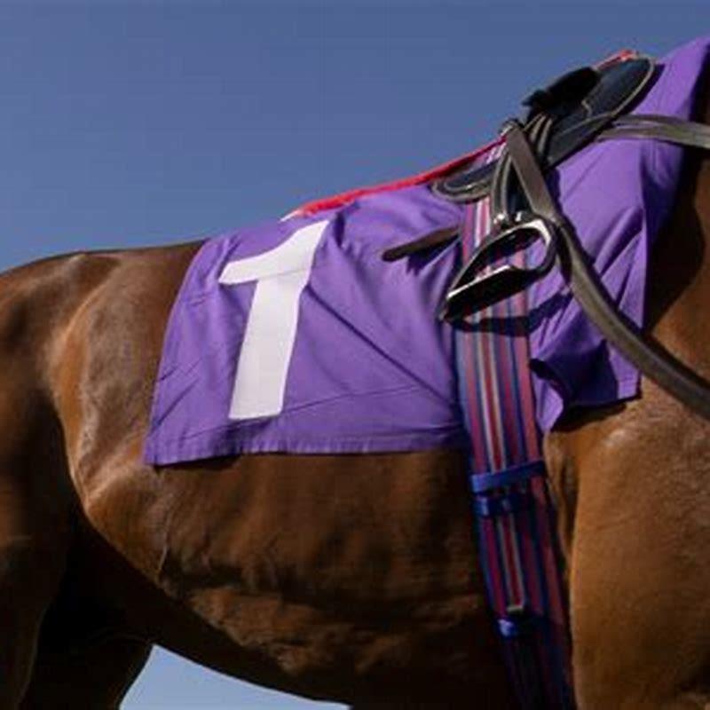 Can you make money on horse racing?