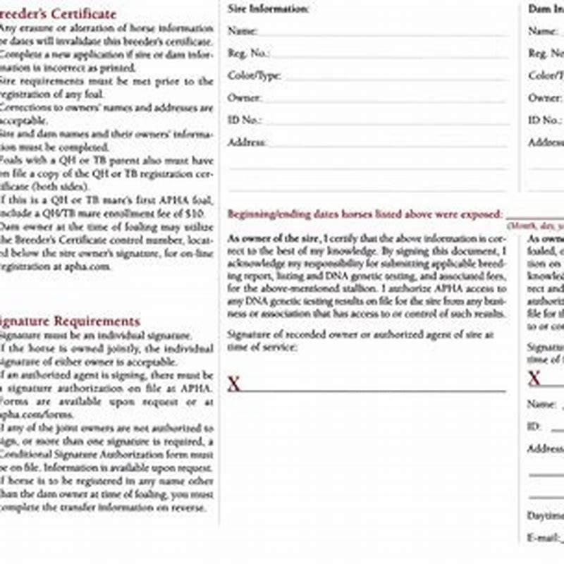 Can you register a quarter horse without papers?