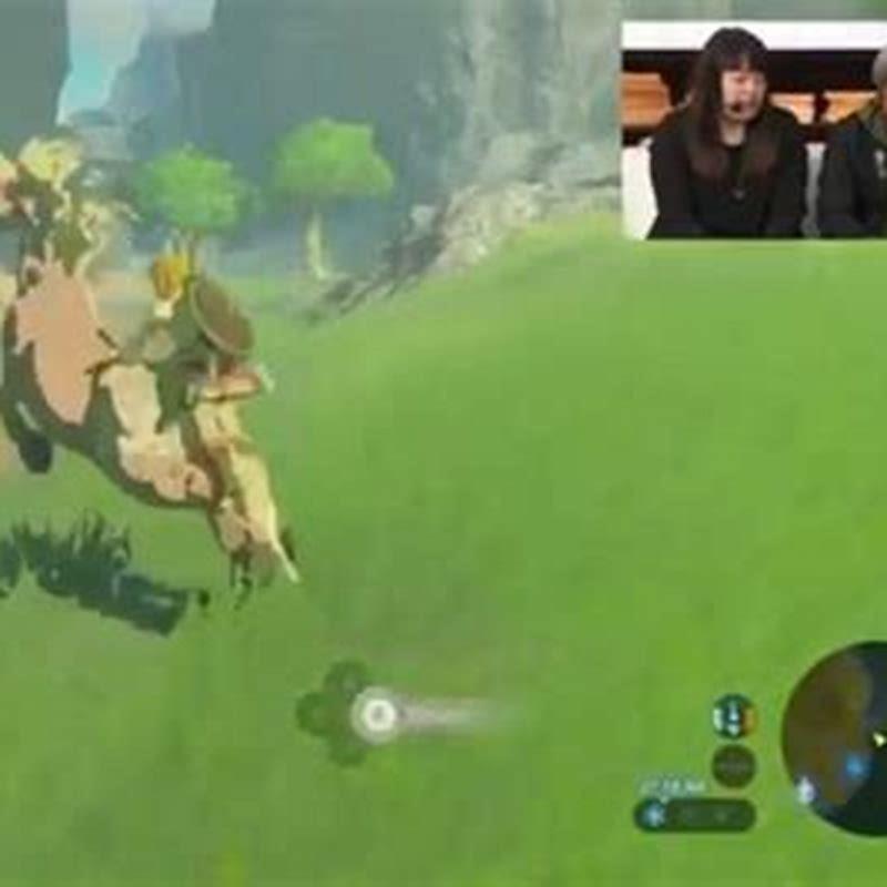 Can you register the glowing horse in BotW?