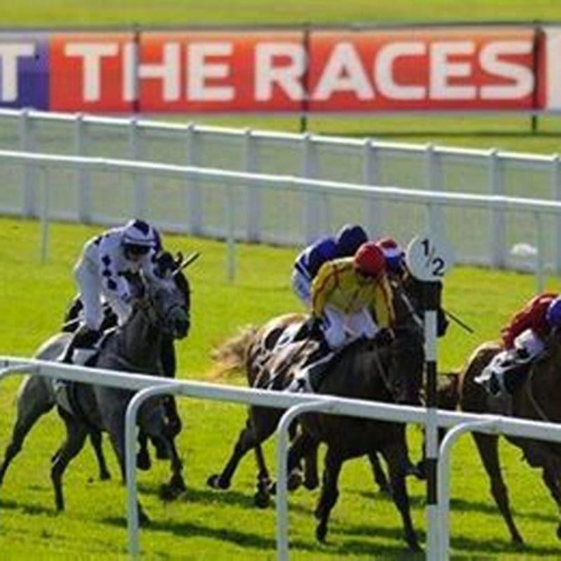 Can you watch horse racing live?