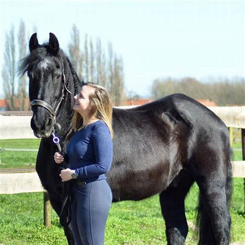 Do Friesian horses high step naturally?
