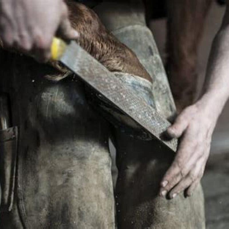 Do horses hooves overgrow in the wild?