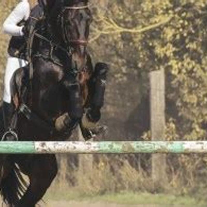 Do you tie a horse when trailering?