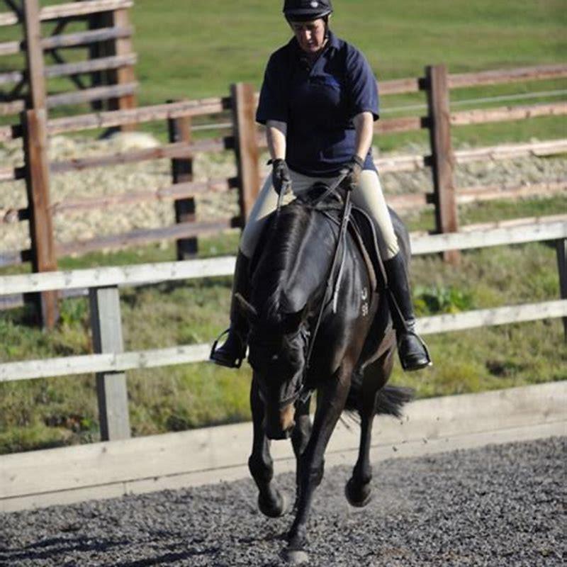 does-riding-horses-make-you-tighter-diy-seattle