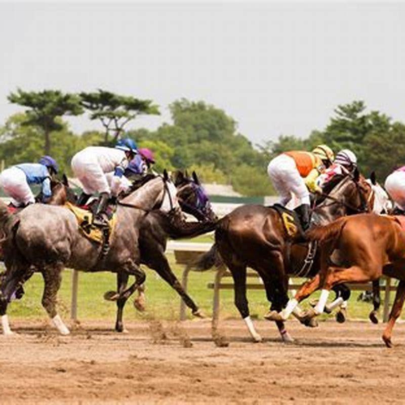 How To Figure Out Odds In Horse Racing