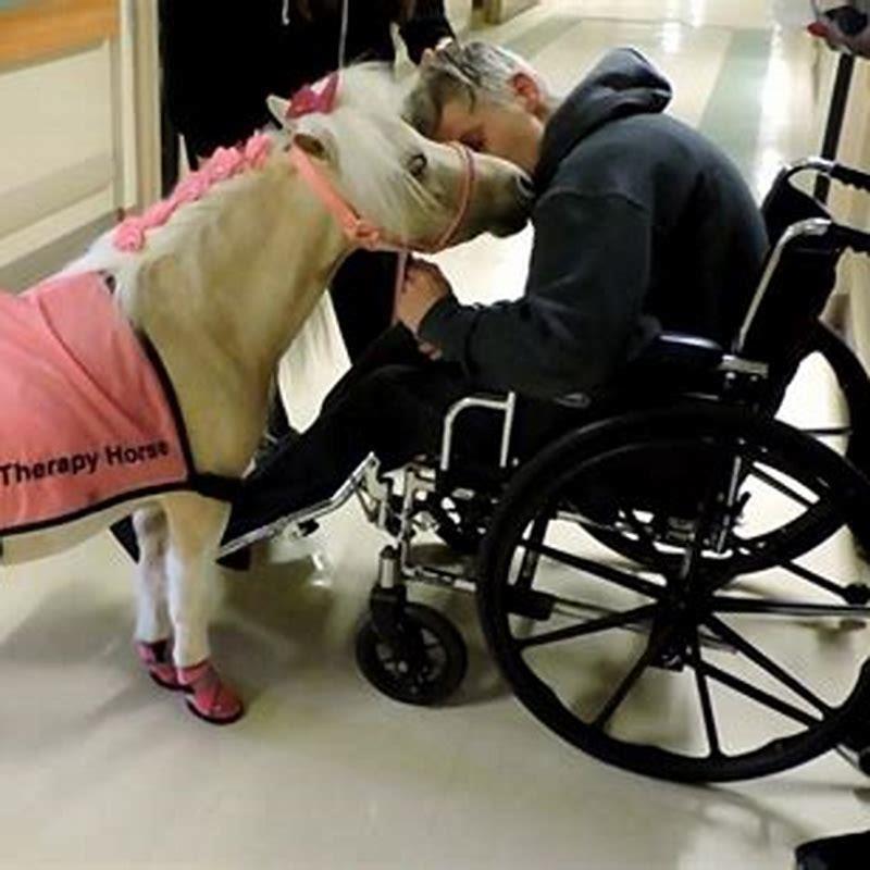 How are therapy horses trained?