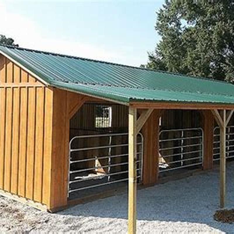 How big should a horse run-in shed be? - DIY Seattle