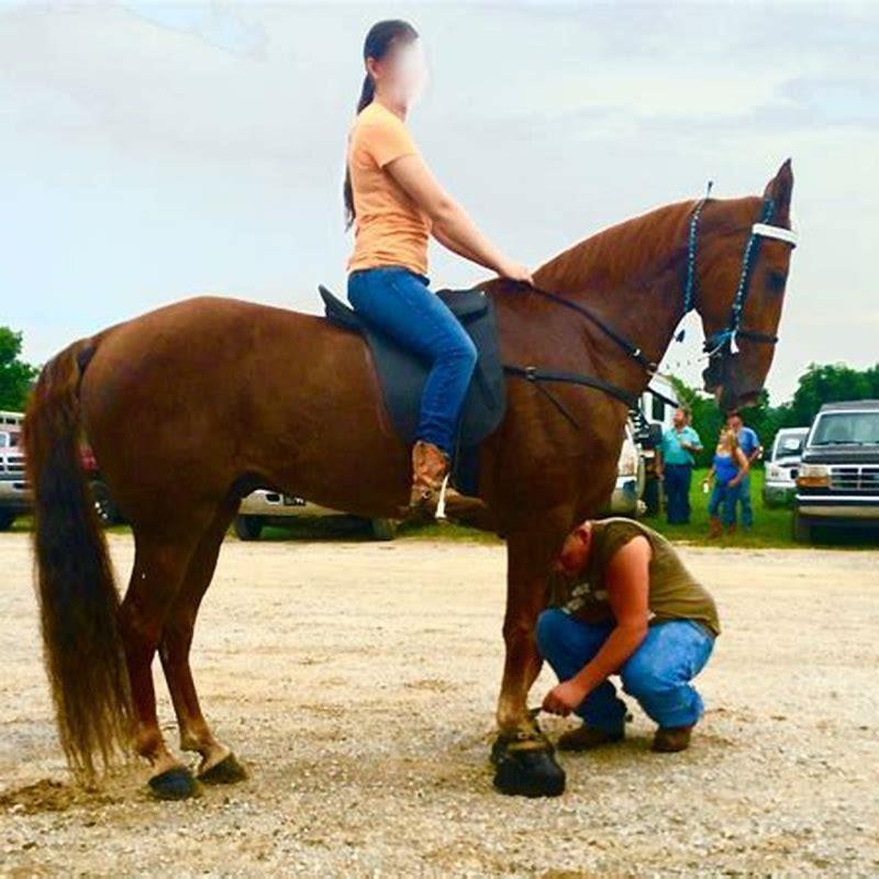 How big should a horse walker be?