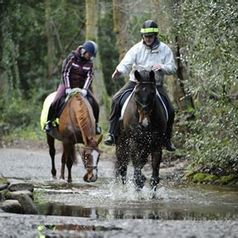How can I help my horse walk?