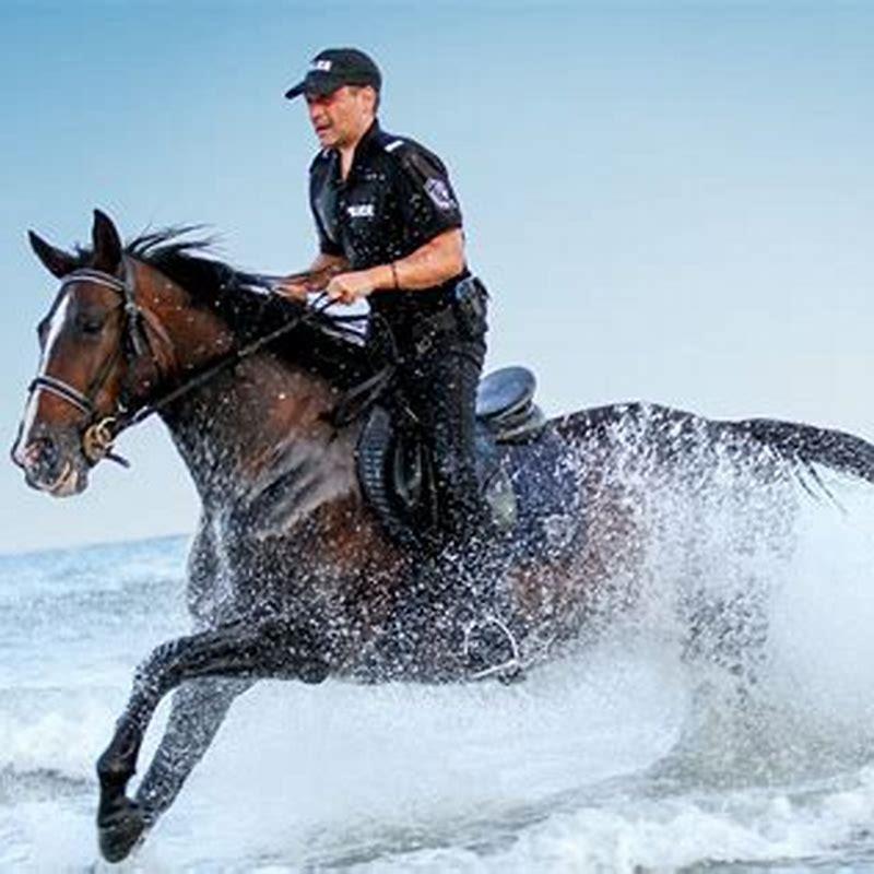 How can I make my YBA horse faster?
