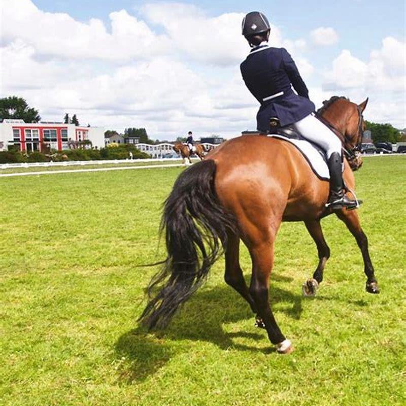 How can I soothe my horse?