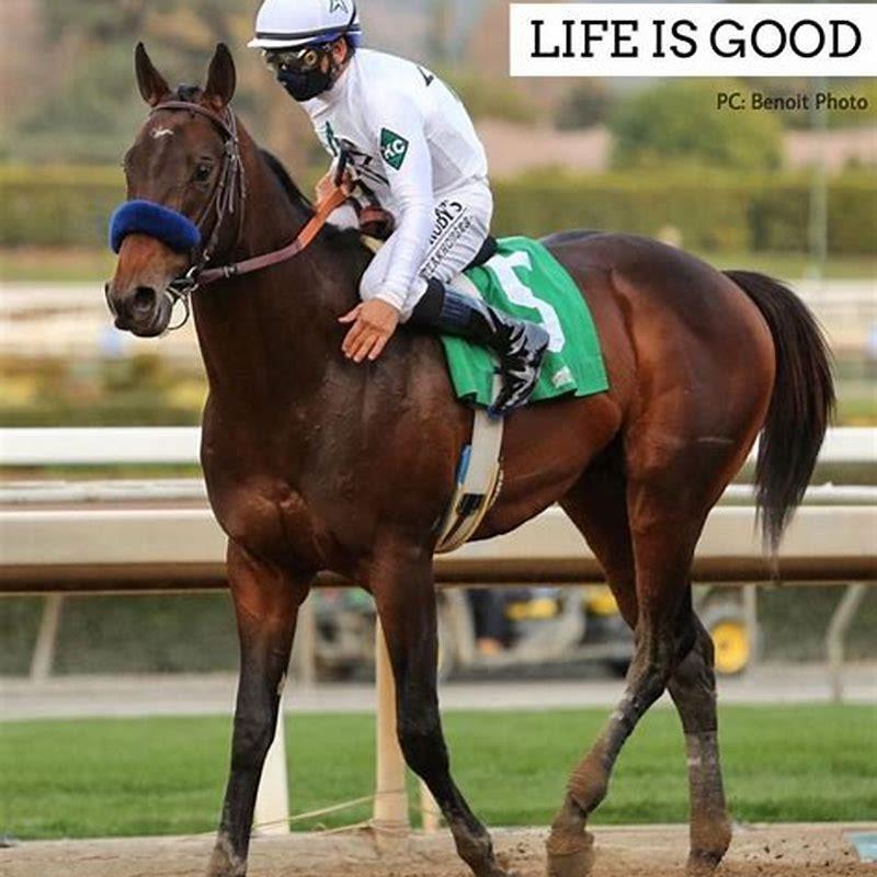 How can you tell a Morgan horse?