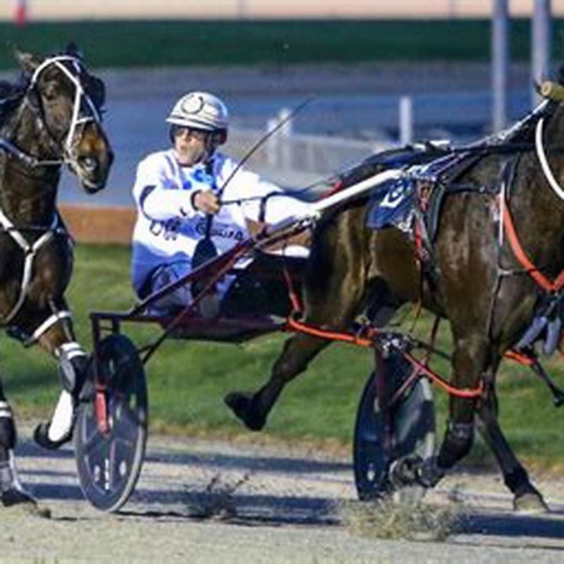 How did horses become involved in racing?