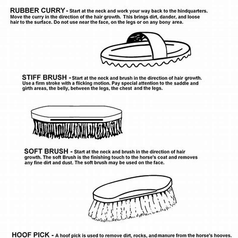 how-do-curry-combs-work-diy-seattle