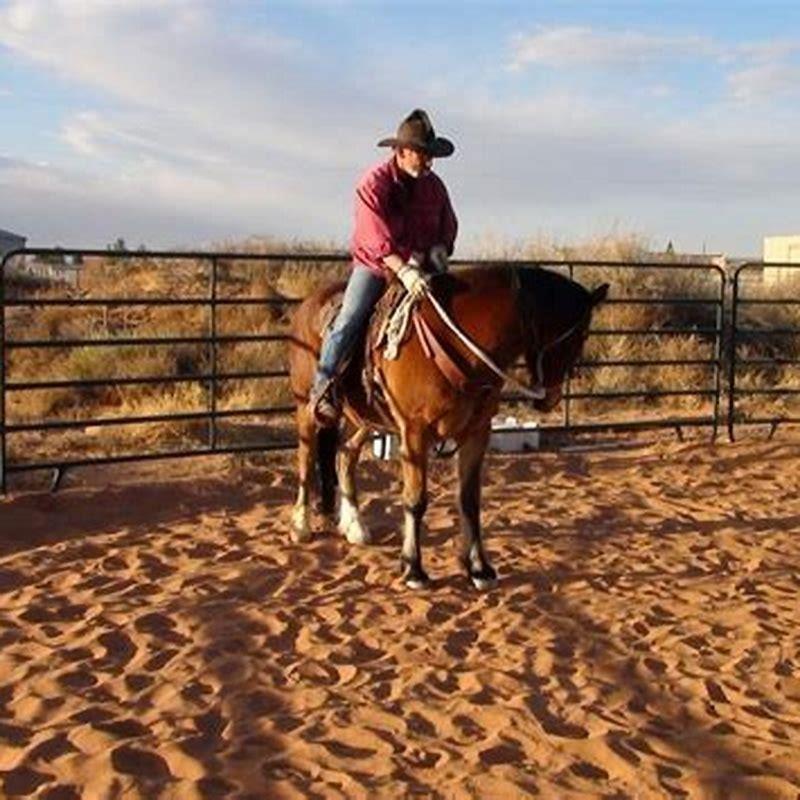 How do Green broke horses work?