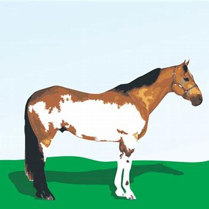 how-do-i-choose-the-right-horse-breed-diy-seattle