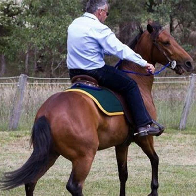 How do I get my horse to go forward?