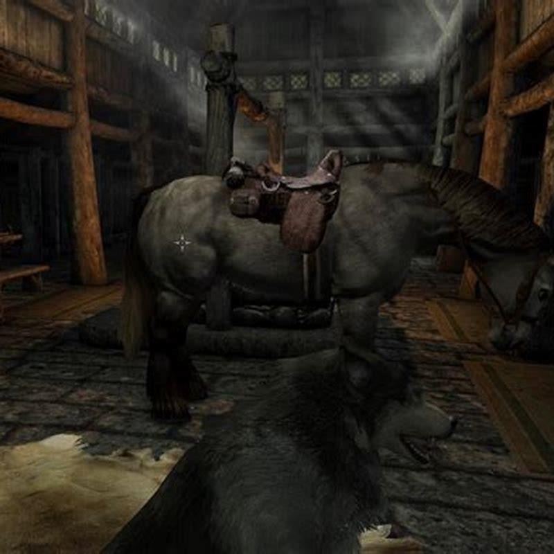 How do I keep my horse in Skyrim?