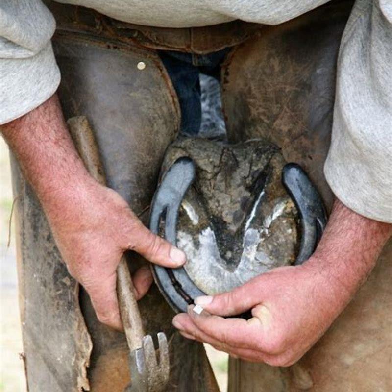 How do I protect my horses hooves?