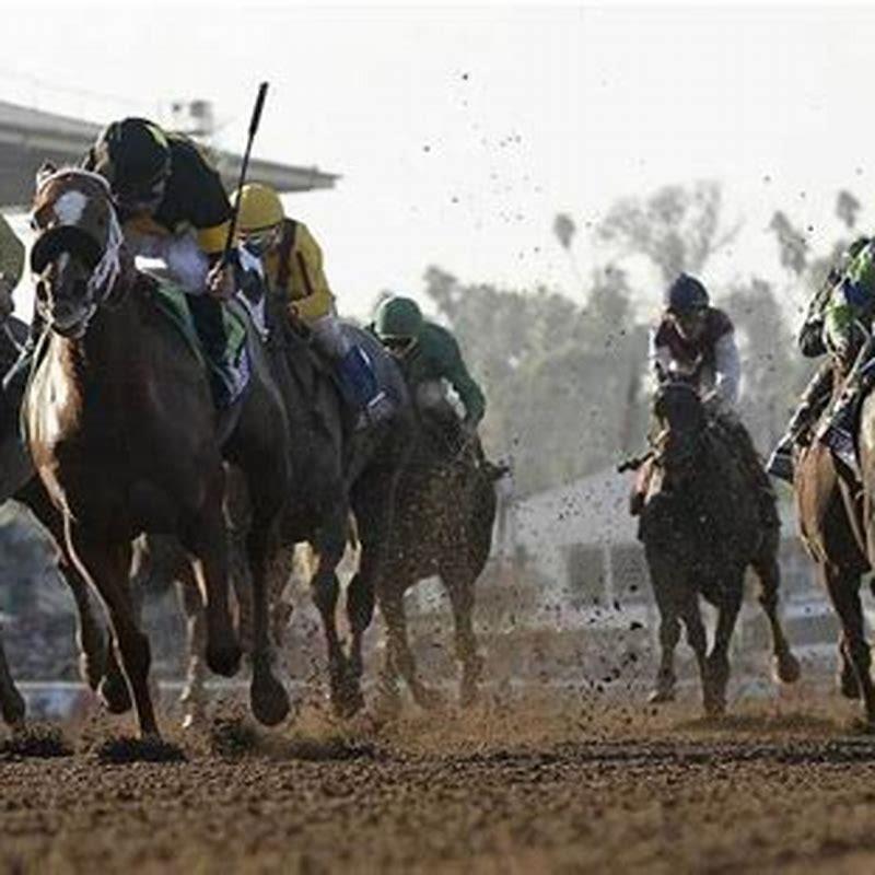 What Does It Mean To Bet A Horse To Show