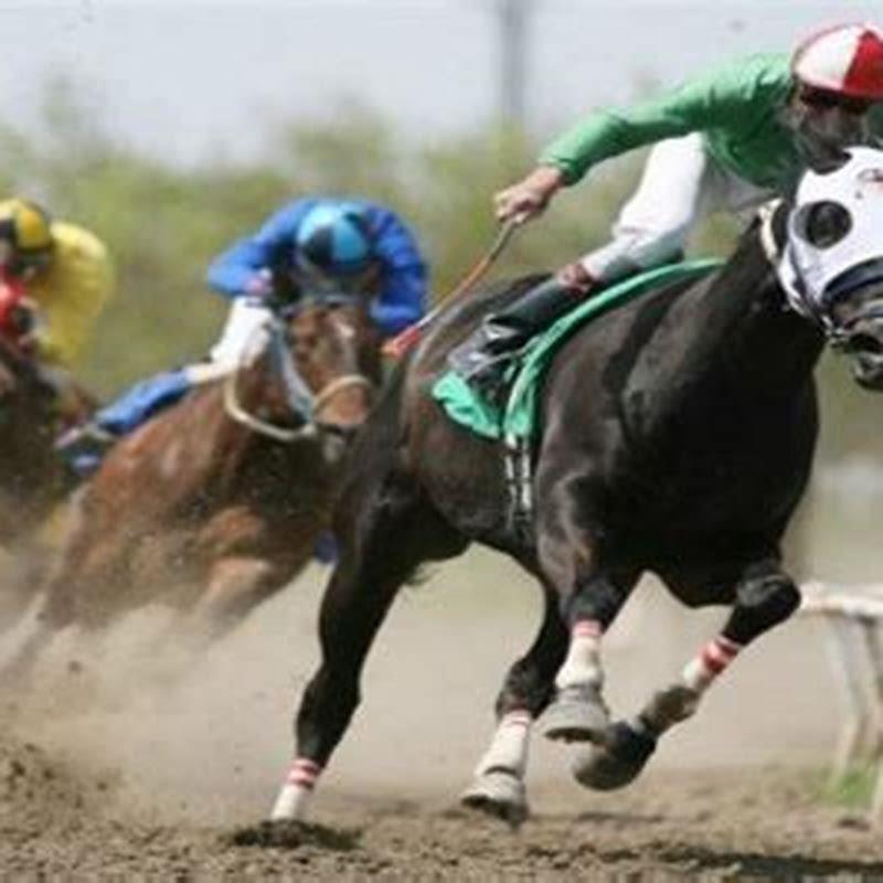 how-do-the-odds-work-in-horse-racing-diy-seattle