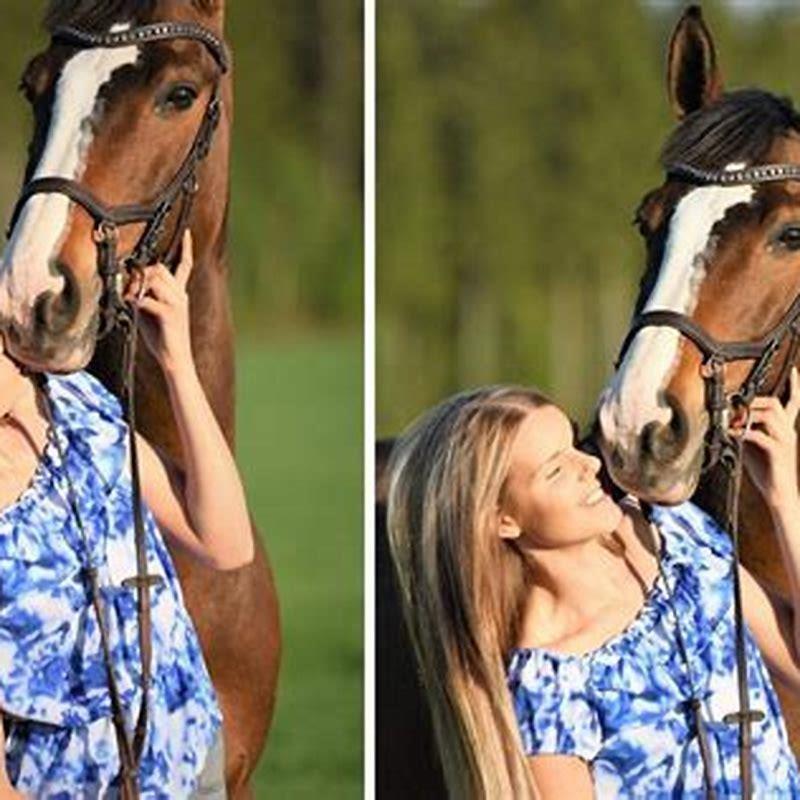 How do you build a relationship with a horse?